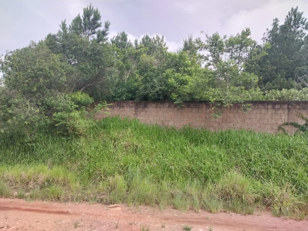 LOTE 005 - Imóvel - Rodovia Assis Brasil, nº 2043 - Cocão - Viamão/RS