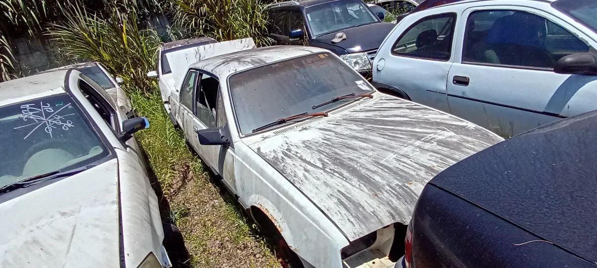 LOTE 0480