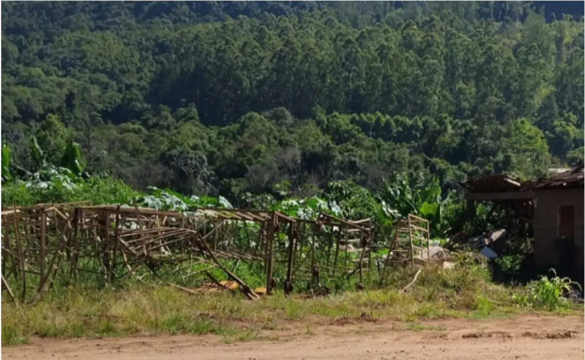 LOTE 001