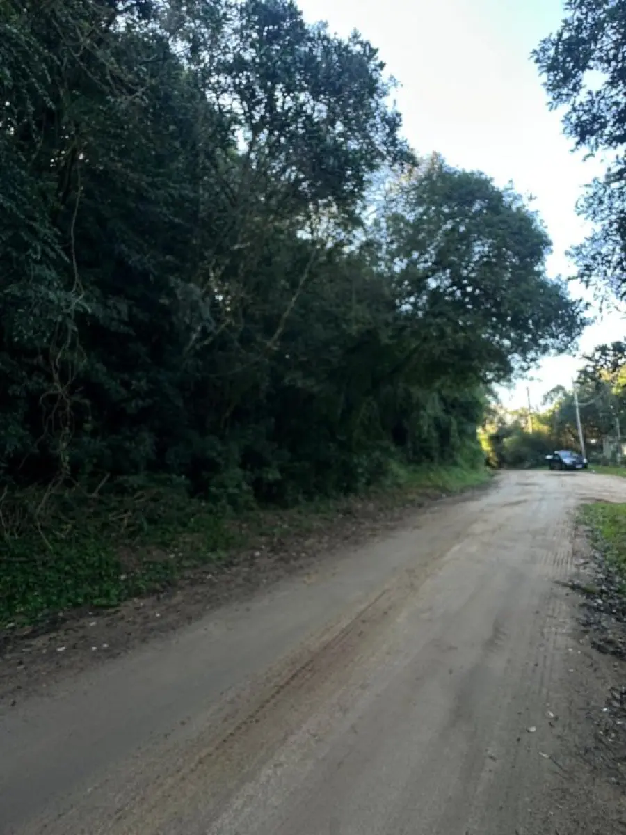 LOTE 001 - Imóvel - Lote nº 50 do Loteamento denominado Retiro da Ponta Grossa - PoA/RS