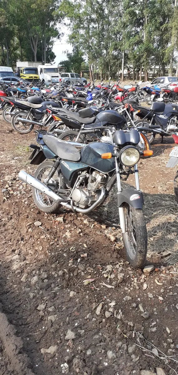 LOTE 0171