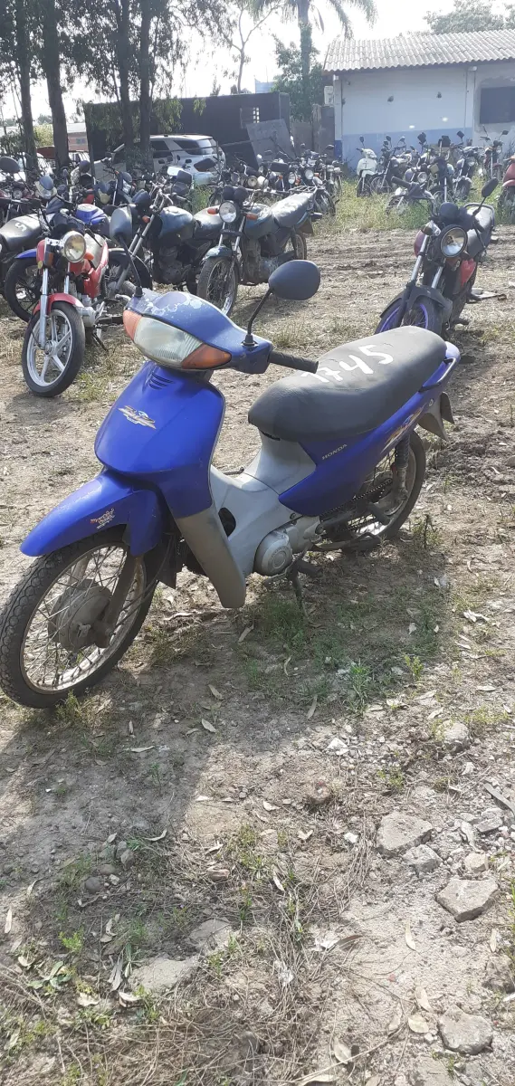 LOTE 0156