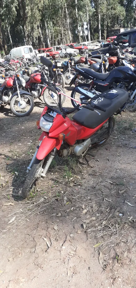 LOTE 0147