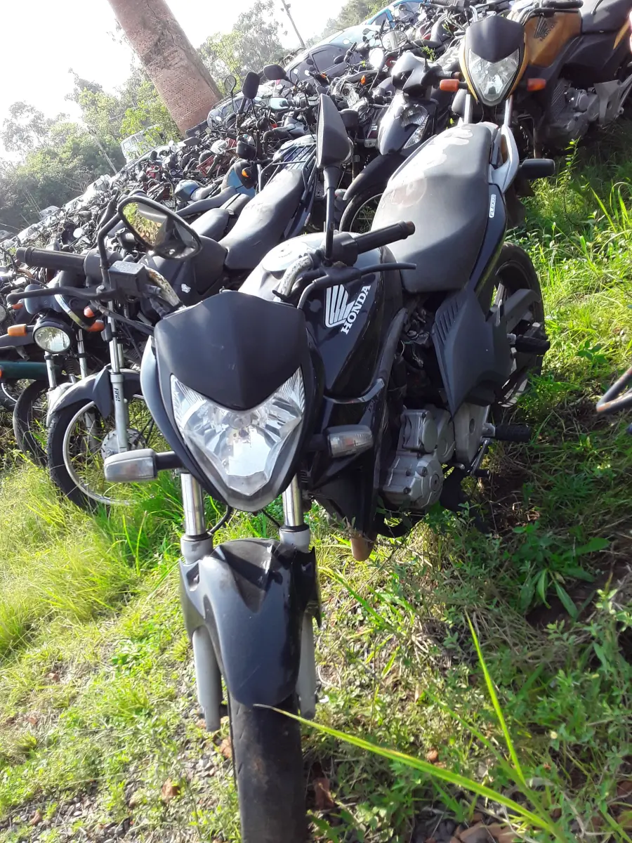 LOTE 0218