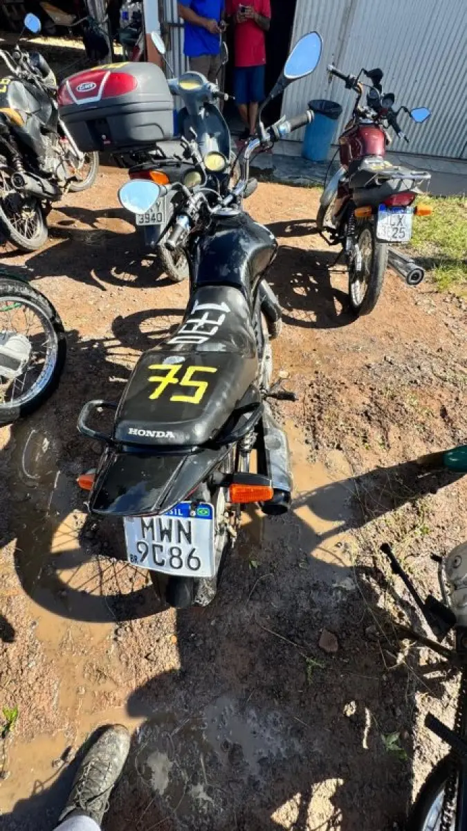 LOTE 0075