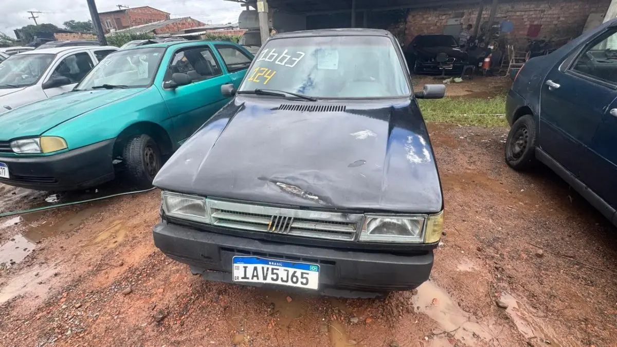 LOTE 0124