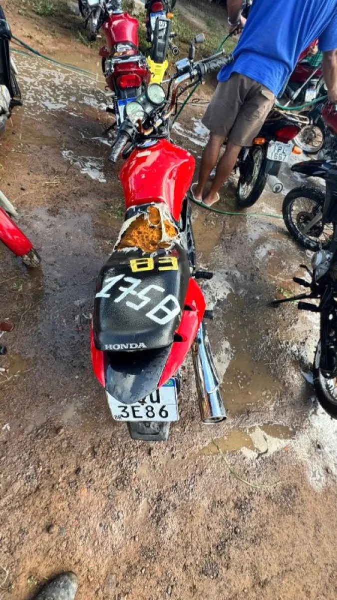 LOTE 0083