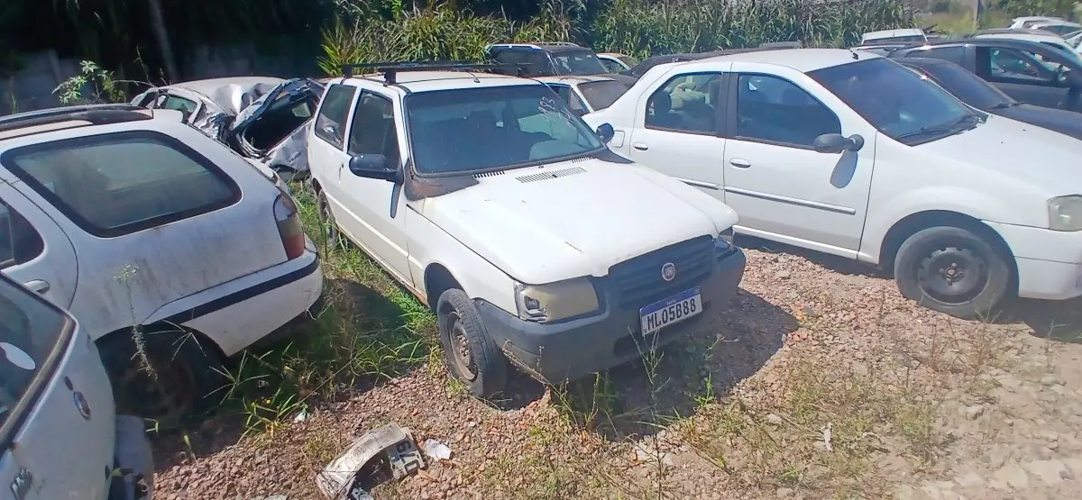 LOTE 0569