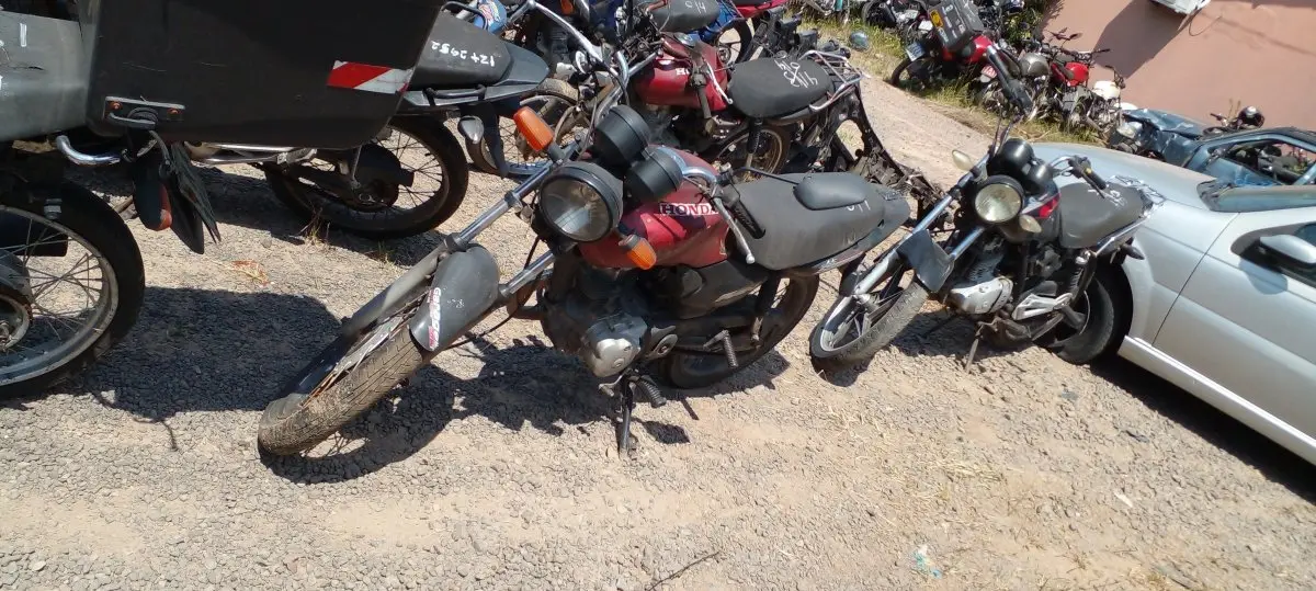 LOTE 0499