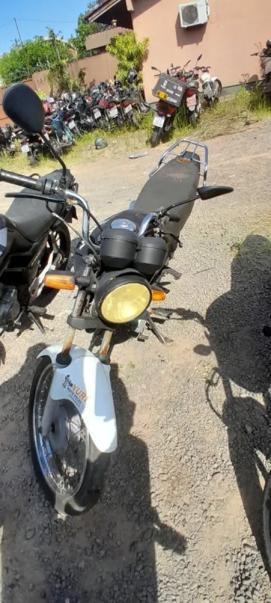 LOTE 0536