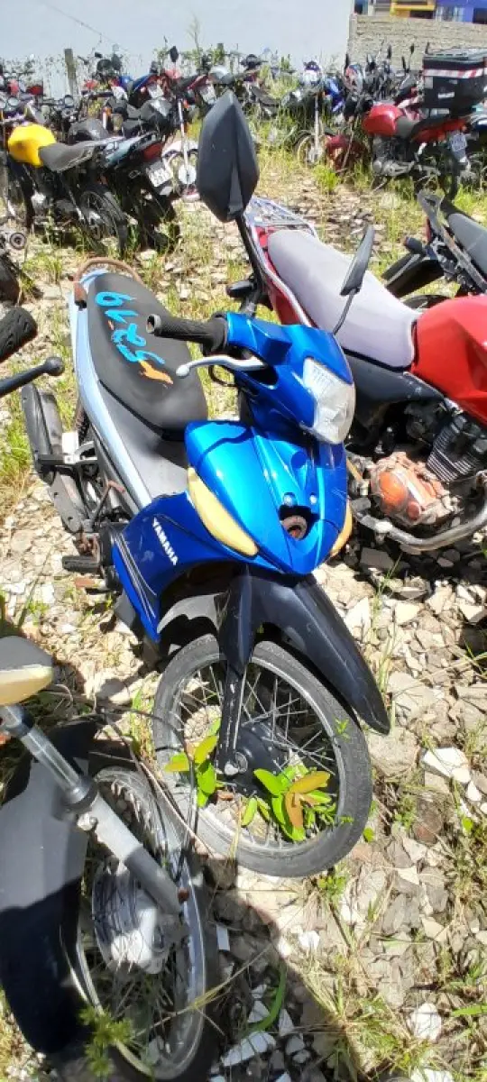 LOTE 0629