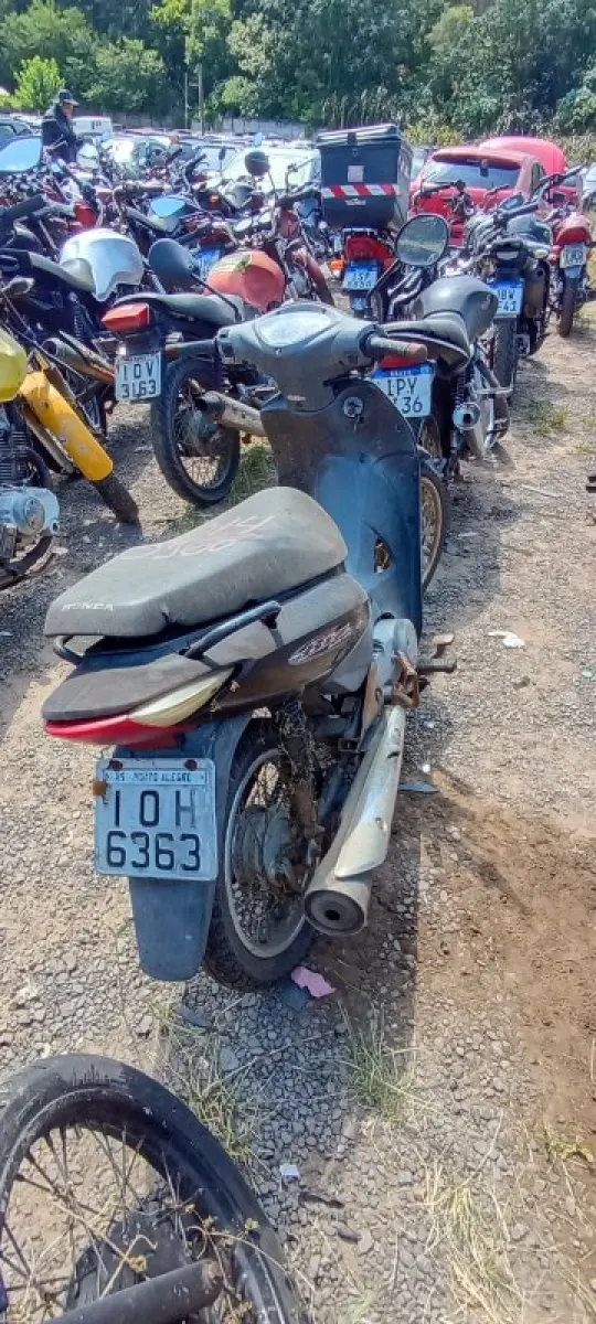 LOTE 0541