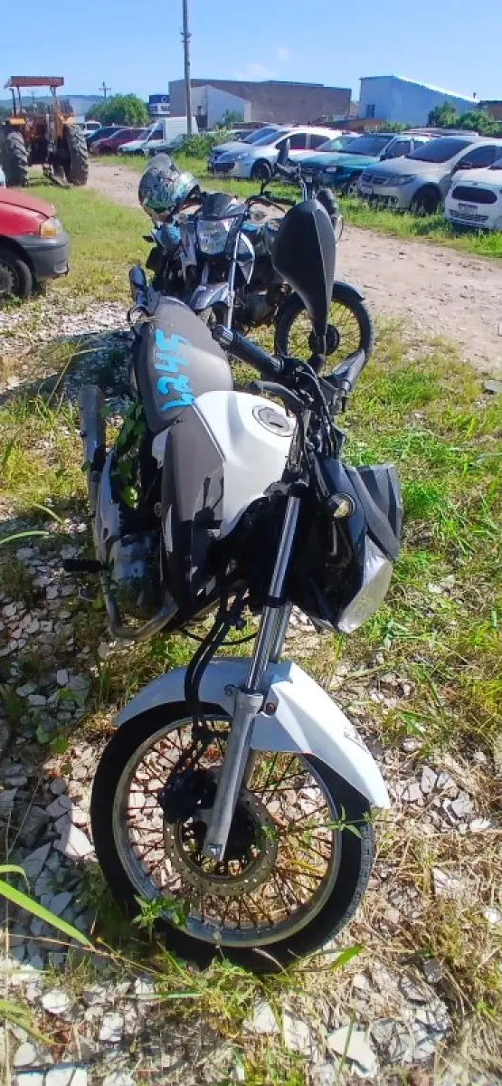 LOTE 0663