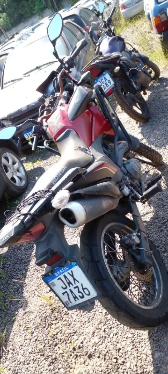 LOTE 0524
