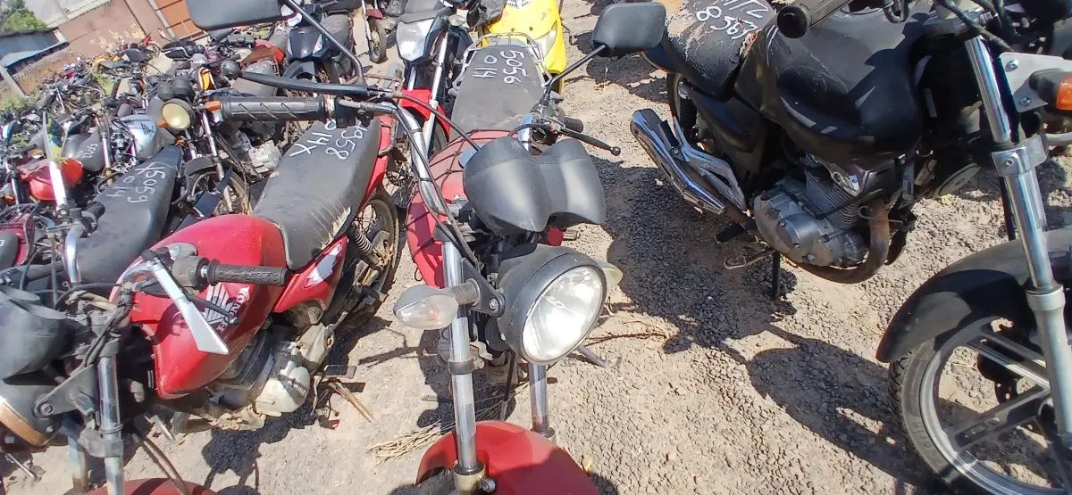LOTE 0515