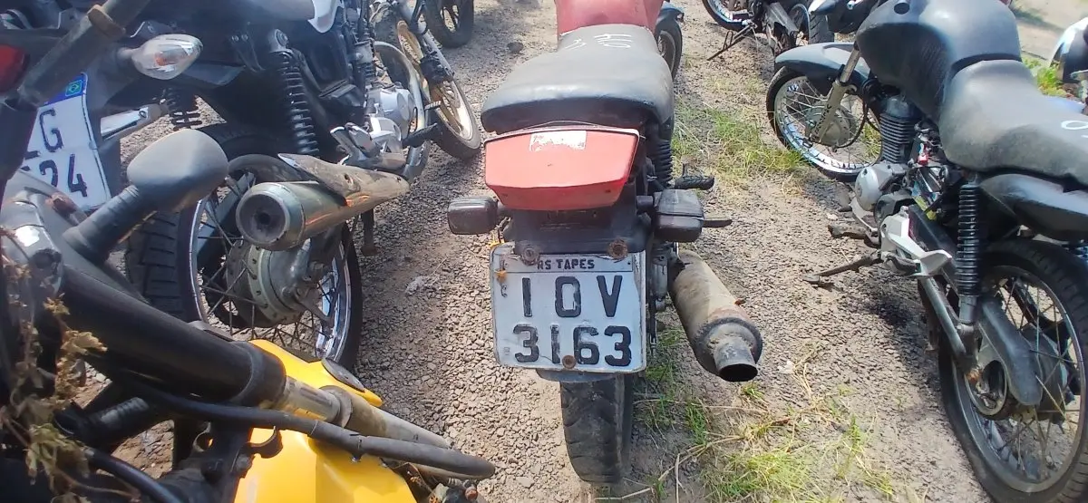 LOTE 0509