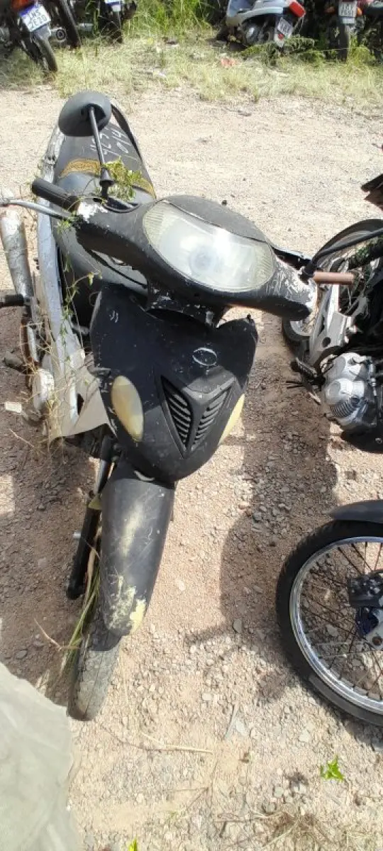 LOTE 0482