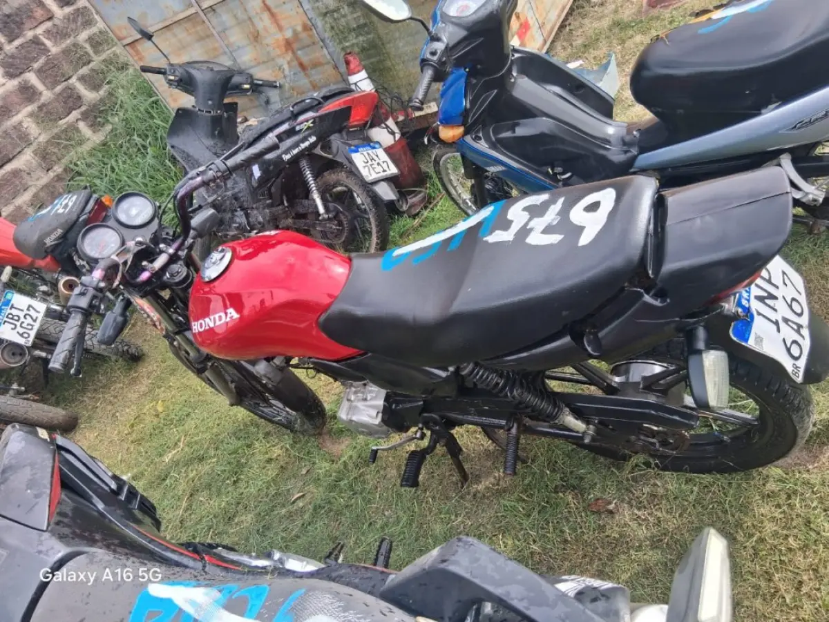 LOTE 0675