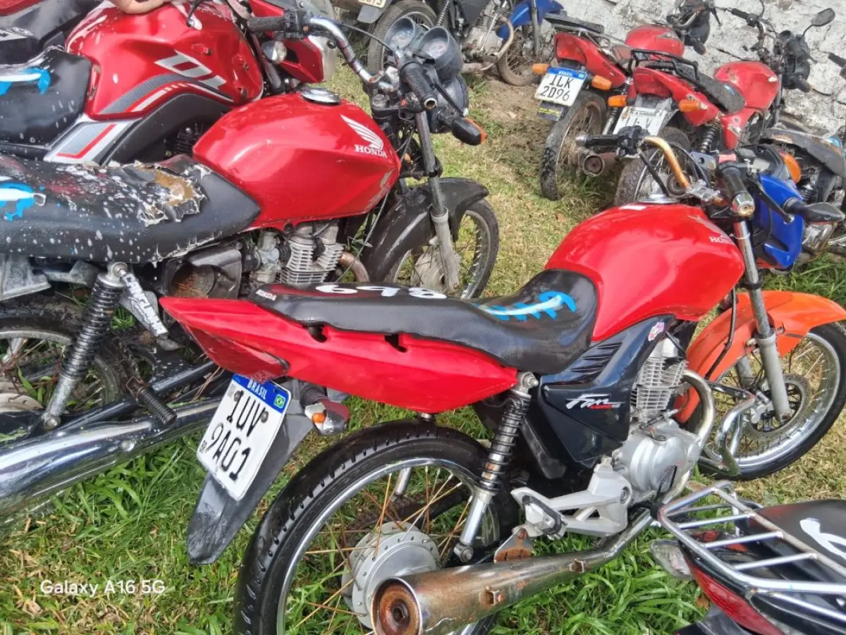 LOTE 0698