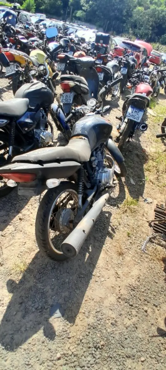 LOTE 0489