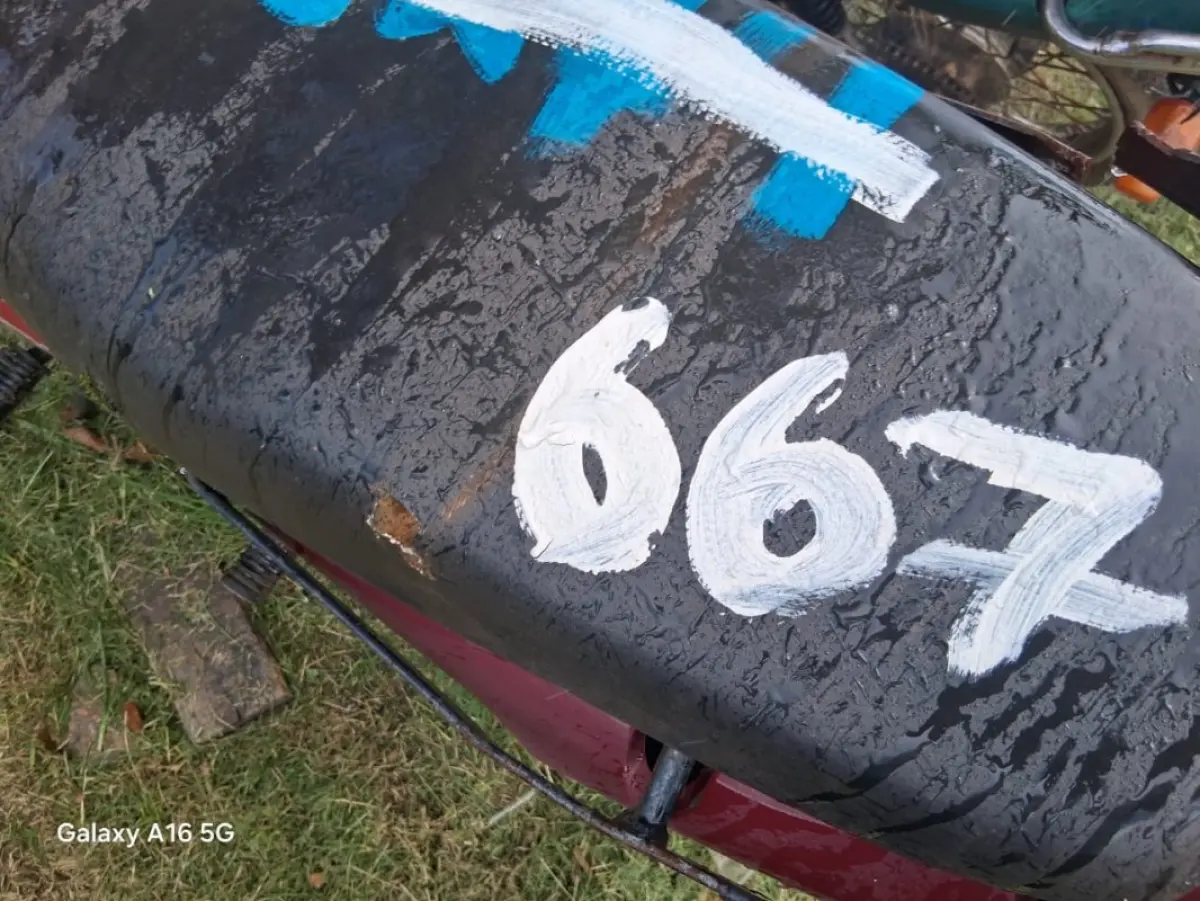 LOTE 0667