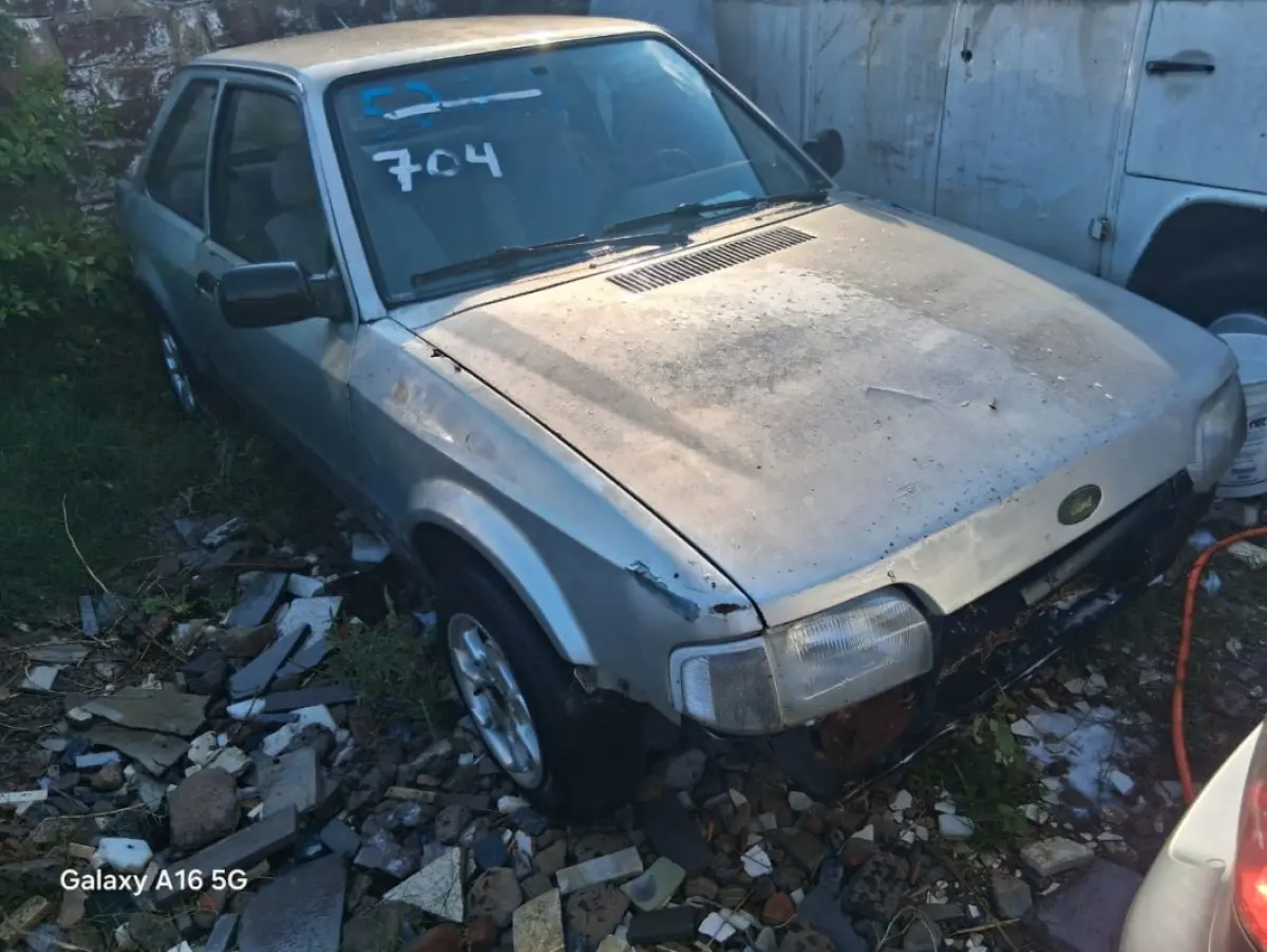 LOTE 0704