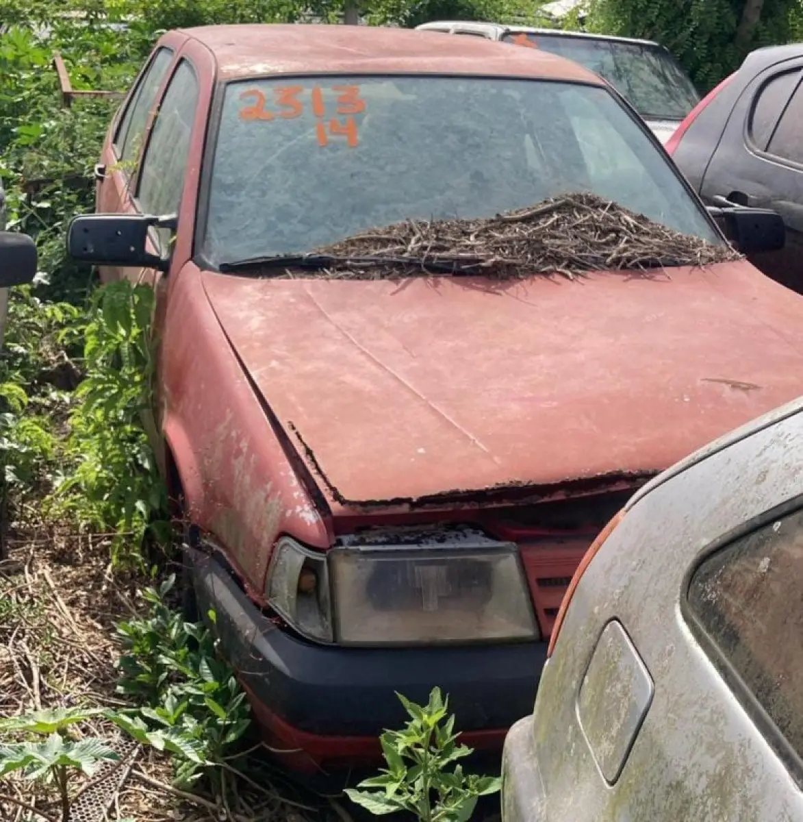 LOTE 0200