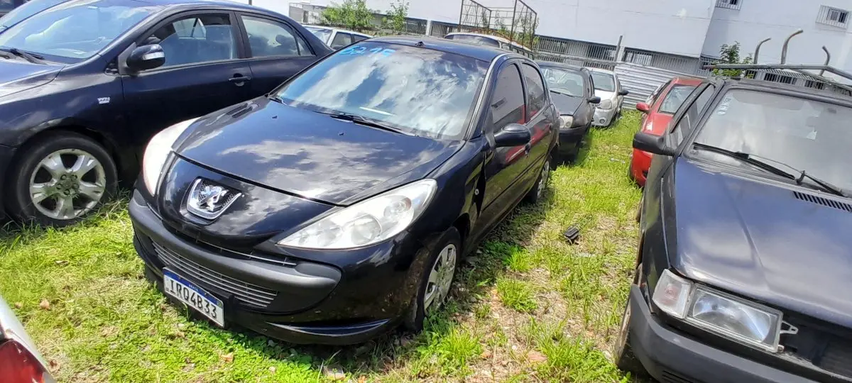 LOTE 0729