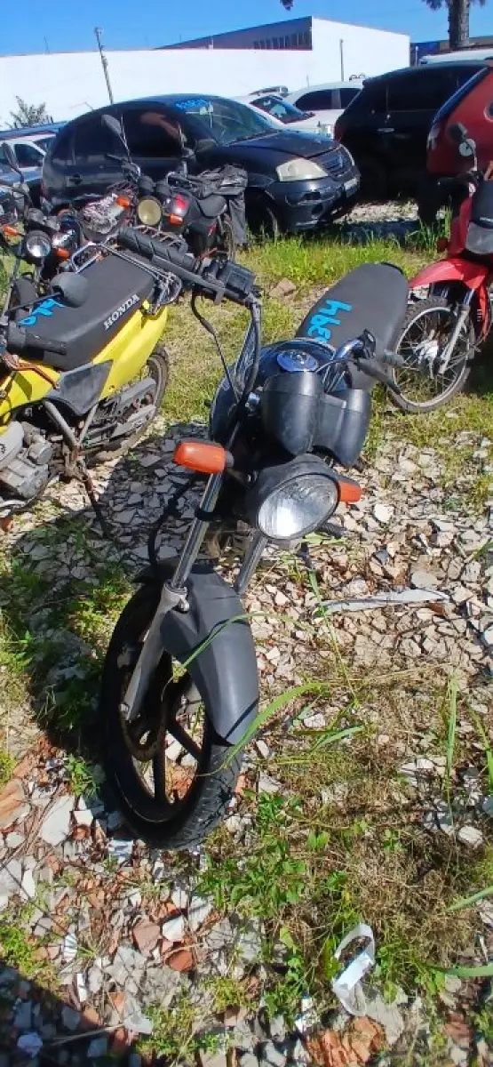 LOTE 0696