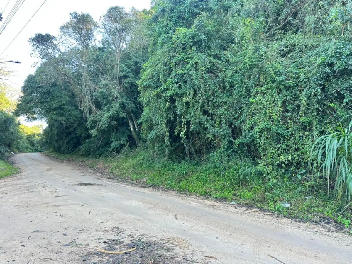 LOTE 002 - Imóvel - Lote nº 51 do Loteamento denominado Retiro da Ponta Grossa - PoA/RS