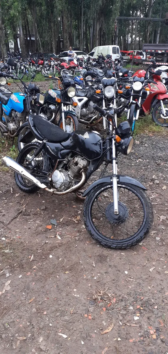 LOTE 0165