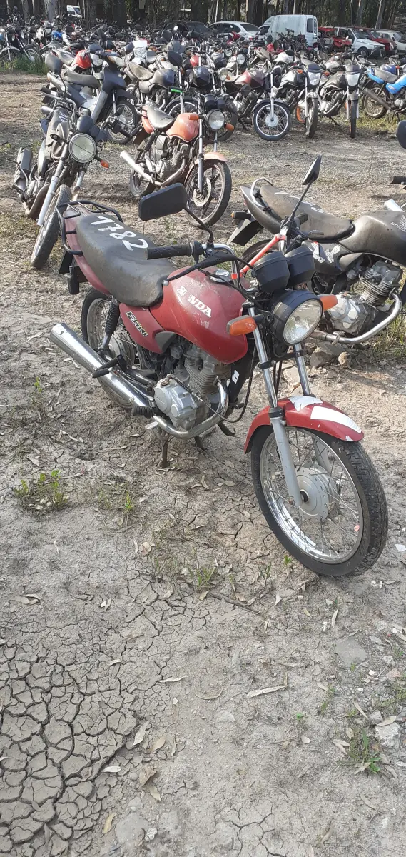 LOTE 0161