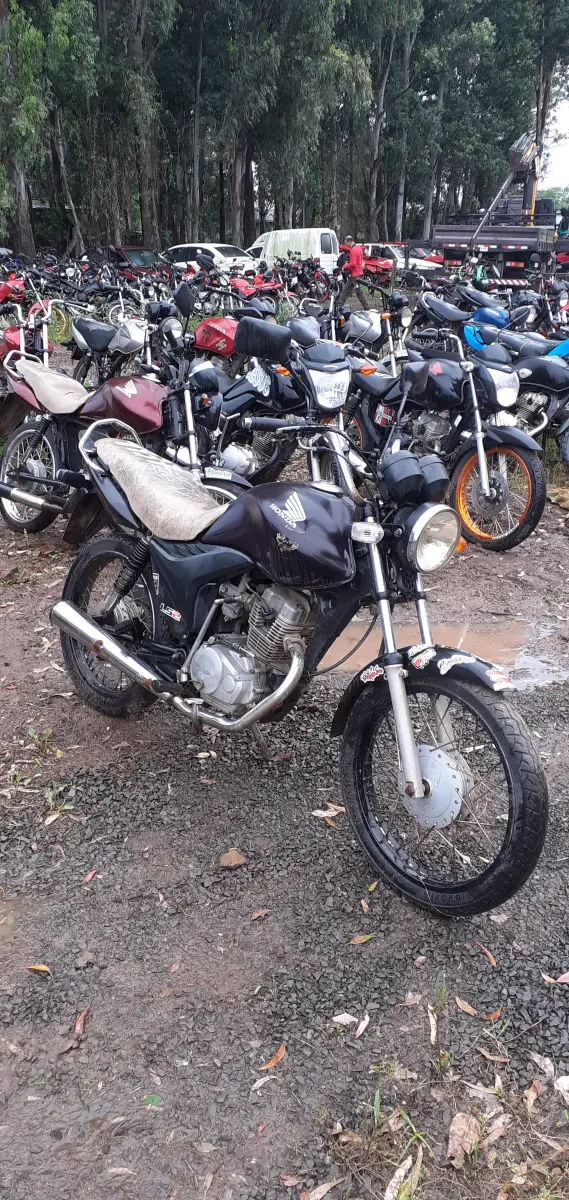 LOTE 0176