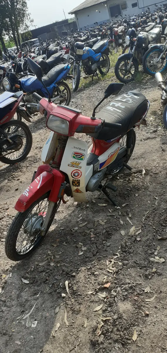 LOTE 0157