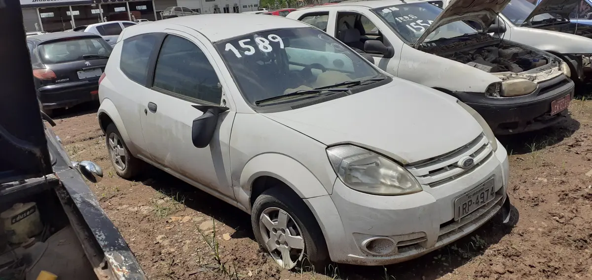LOTE 0181