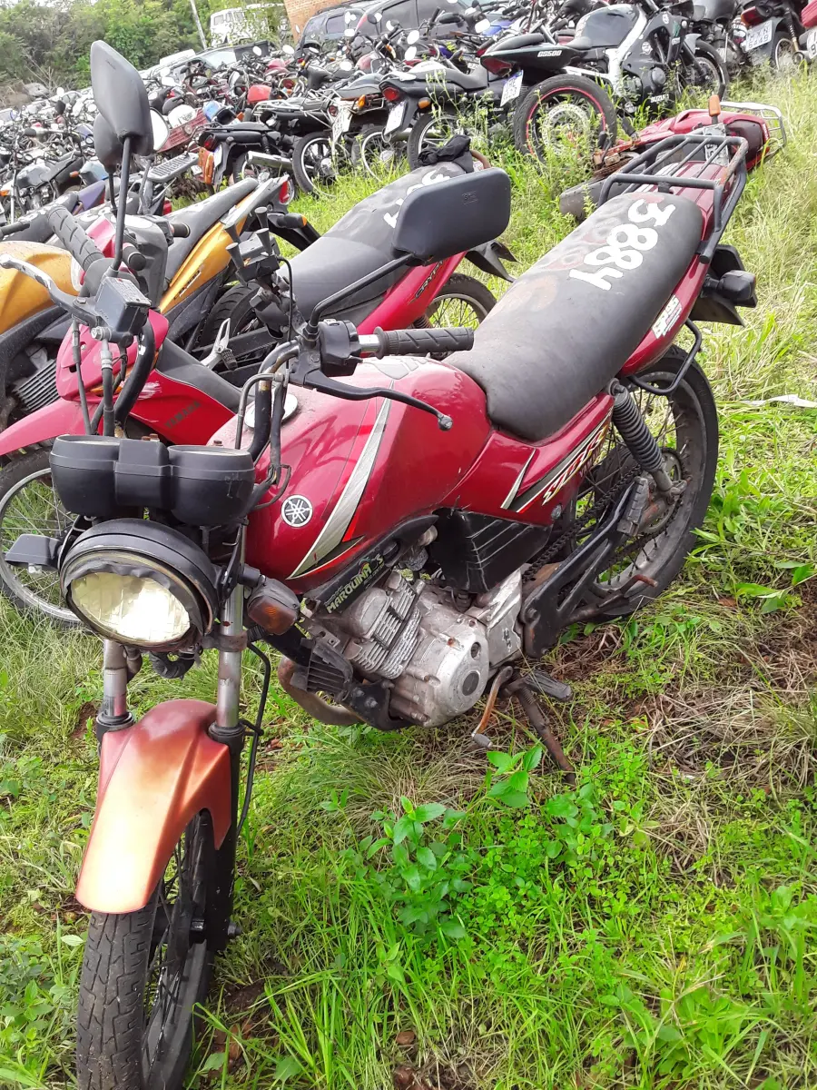 LOTE 0221