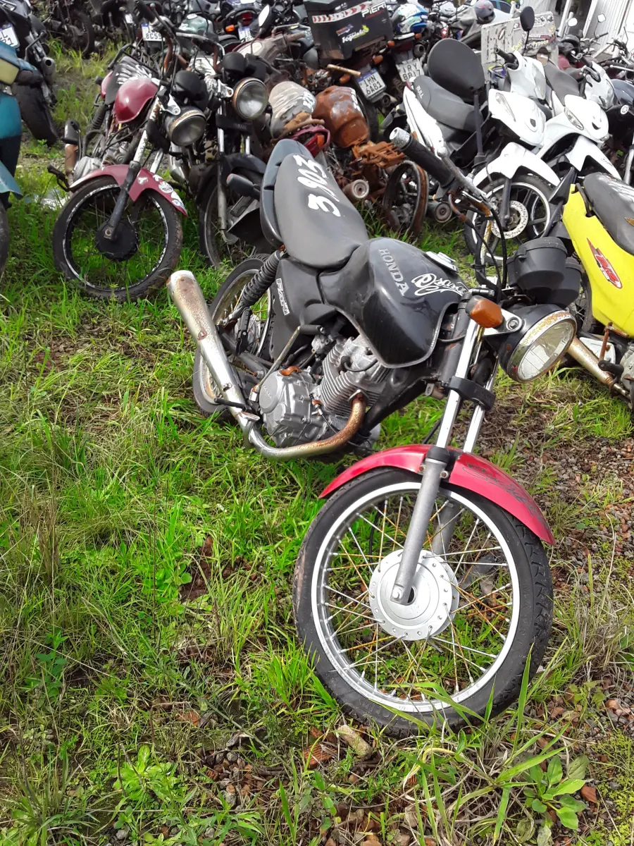 LOTE 0223