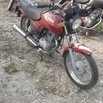 Foto 1