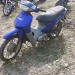 Foto 1