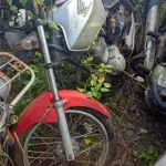 Foto 7