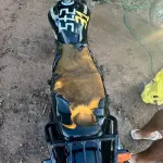 Foto 1