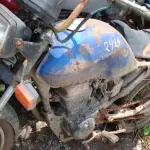 Foto 7