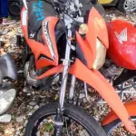 Foto 3