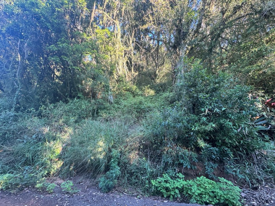 Foto 19