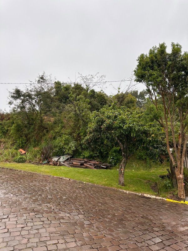 Imagem 7